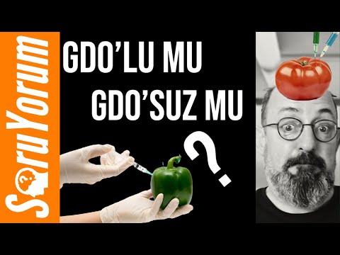 Video: Organik bitkiler GDO'suz mudur?