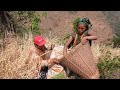 Carrying and harvesting technology of paddy || Videos EP 2