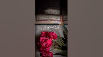 نور على نور. ايات من سورة النور بصوت القارئ شريف مصطفى #راحه_نفسيه #quranquotes