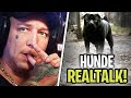 Fast überfahren beim Gassi gehen?😱 REALTALK über Hunde Erziehung | MontanaBlack Realtalk