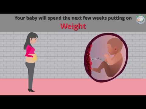 Video: 35 Weeks Of Pregnancy: Sensations, Fetal Development