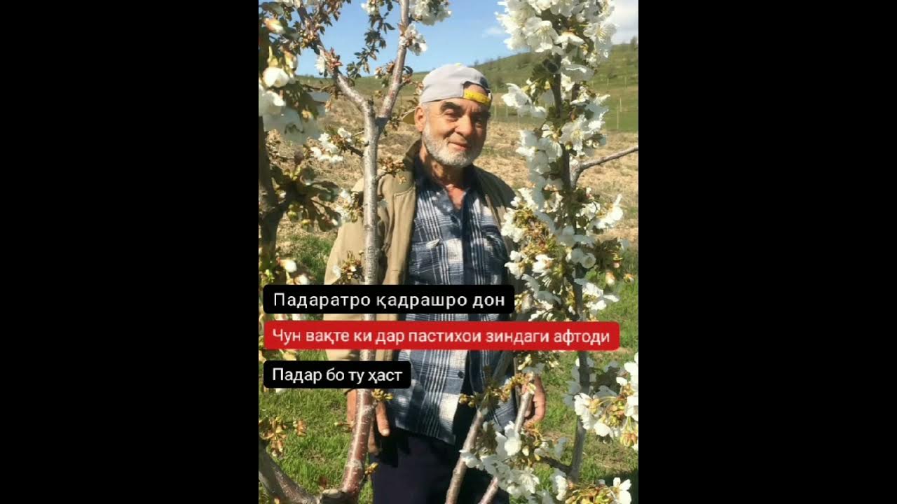 суруди падар