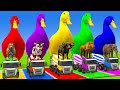 Long Slide Game With Cow Elephant Gorilla Hippopotamus Tiger 3d Animal Game Funny 3d Animals