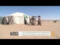 تقرير حياة البدو في صحراء مارب والجوف تقرير حياة البدو في صحراء مارب والجوف