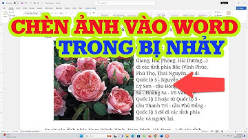 Cách chèn ảnh vào word không bị nhảy