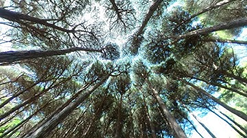 Sardegna - Cinematic Travel Film | Insta360 One R Twin edition