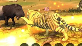 tiger attack other forest animal/# gameplay the tiger game/the tiger game #gameplay