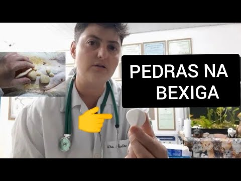 Vídeo: Dieta E Cálculos Na Bexiga De Oxalato De Cálcio Em Gatos