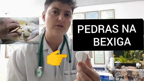 Como tratar pedra na bexiga de cães?