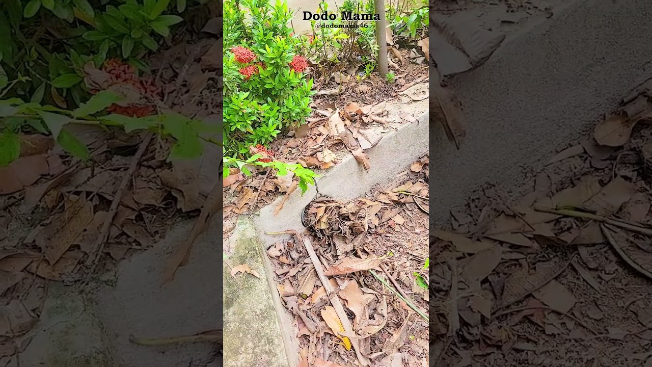 Deep Pipe Cleaning Therapy  Instant Water Flow Satisfaction