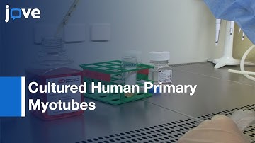 Glucose Uptake Measurement & Response To Insulin Stimulation l Protocol Preview