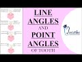 Line angles and Point angles of Teeth | Dental Anatomy