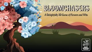 Making Bloomchasers