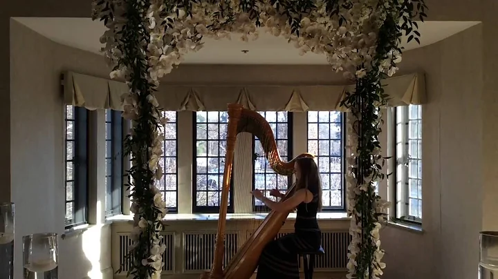 Canon in D played by harpist Rachel Dignard