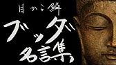 ガリレオ ガリレイ 名言集 物理学者 天文学者 Youtube