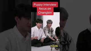 Stray Kids puppy interview Changbin focus