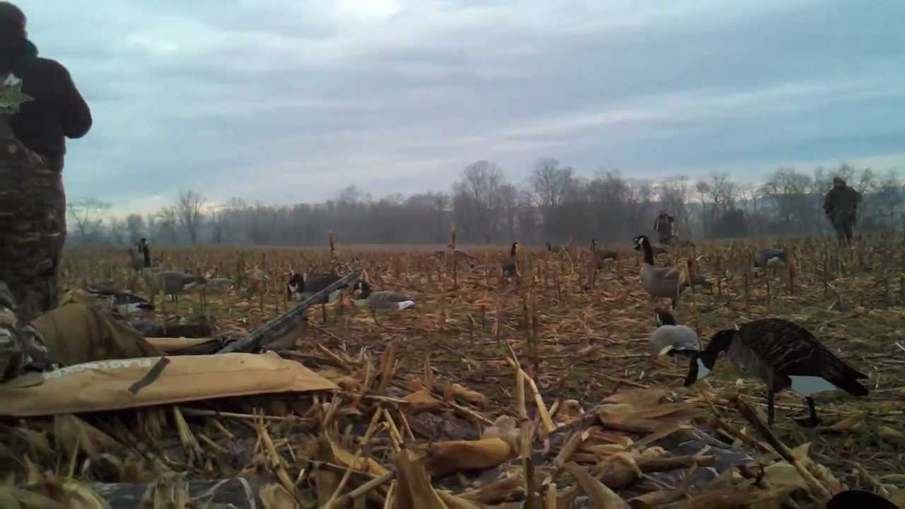 2012 Goose Hunt Carroll County, MD YouTube