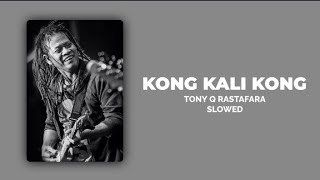 KONG KALI KONG - TONY Q RASTAFARA (SLOWED)