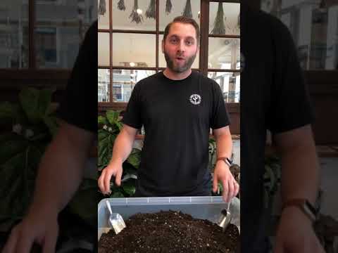 How To Make Your Own Potting Mix For Succulents