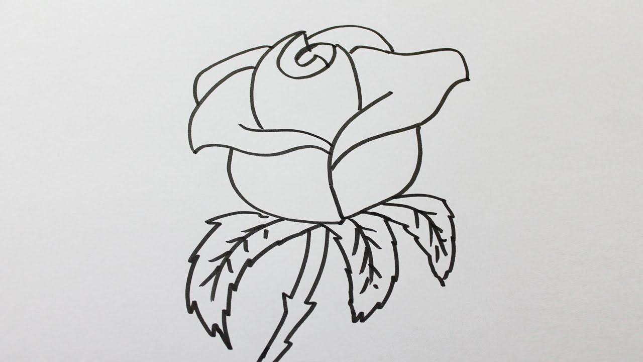 Comment Dessiner Une Rose Facilement Youtube