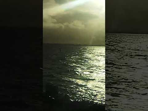 24.2.23 Almere Poort