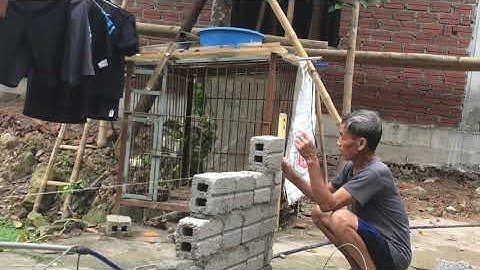 Hoàng Mia vlog - nông dân xây chuồng  tái đàn nuôi lợn
