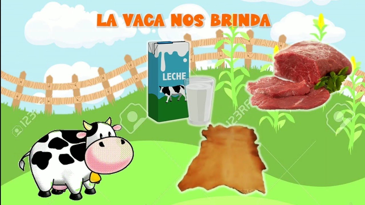 Top 165+ Imagenes de vacas y sus derivados - Elblogdejoseluis.com.mx