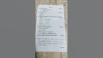 ICSE |class-2|computer|SecondTerm Exam|#viralvideo #2ndterm #computer #icseclass2#importantquestion