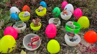 I found beautiful rainbow-colored eggs in the flower garden, zombie eggs, dinosaur eggs, fish eggs