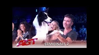 Lukas & Falco Simon Cowell Fights For This Dog After Slip Up Americas Got Talent 2019