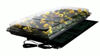 Hydrofarm MT10009 48 by 20 Inch Seedling Heat Mat