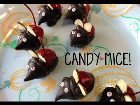 YUMMY DIY- CANDY MICE!