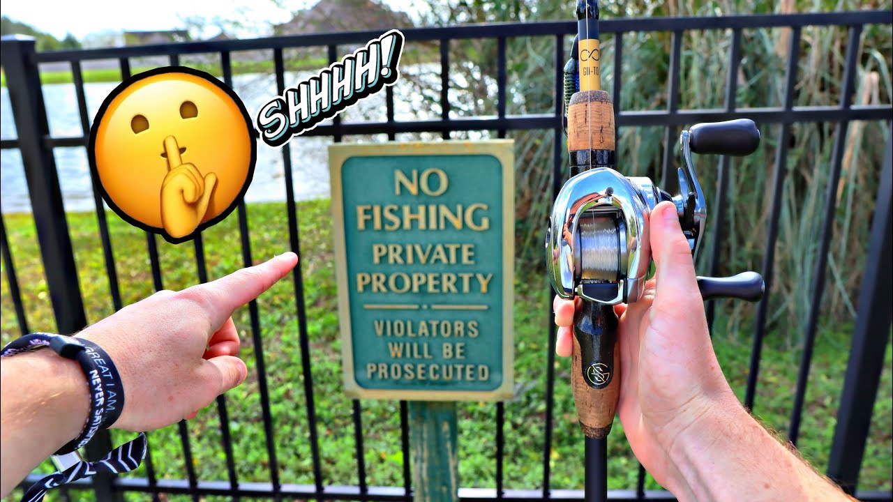 Sneaking Into PRIVATE Neighborhood Ponds (Big Fish)