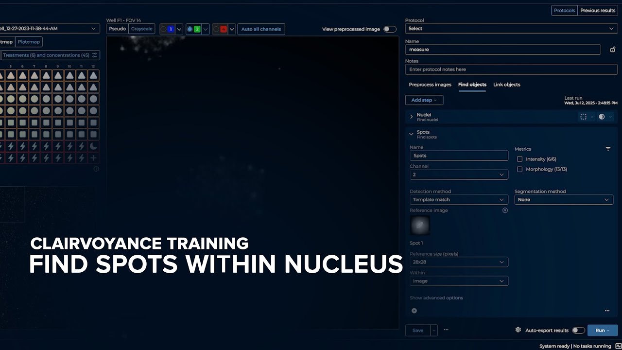 Find Spots Within Nucleus | Clairvoyance