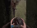 THE WORST PLAYER IN RUST