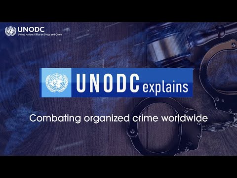 UNODC explains ? about combating organized crime worldwide