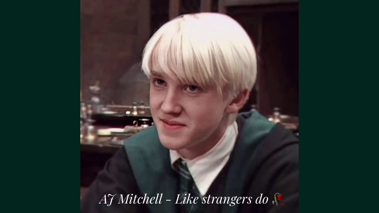 [말포이 소설 ᴘʟᴀʏʟɪsᴛ] 한낱 설렘으로 치부하기엔 내가 널 많이 좋아하는 거 같아