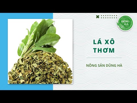 Video: Cây xô thơm mùa thu là gì - Học cách trồng hoa cây xô thơm mùa thu