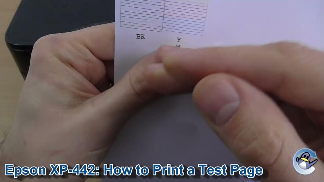 Epson Home XP-442/XP-445: How to a Nozzle Check Test - YouTube