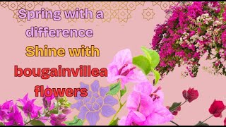Bring With Bougainvillea Into