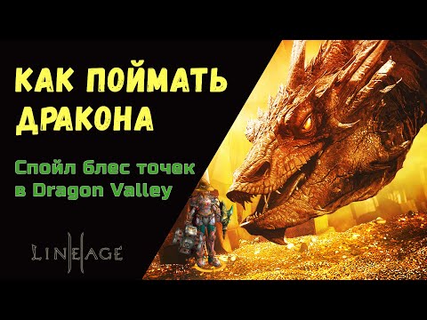 Спойл S блес випок, арморок в Dragon Valley   Долина Драконов Подробный гайд
