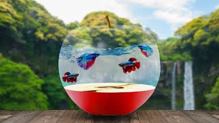 New Photo Manipulation in Photoshop | Apple and Fish 2024