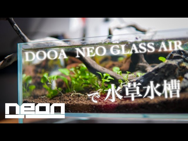 NEO GLASS AIR & アクアステージ水槽 DOOA 】NEO GLASS AIRで水草レイアウト水槽を立ち上げ！【 ne0n