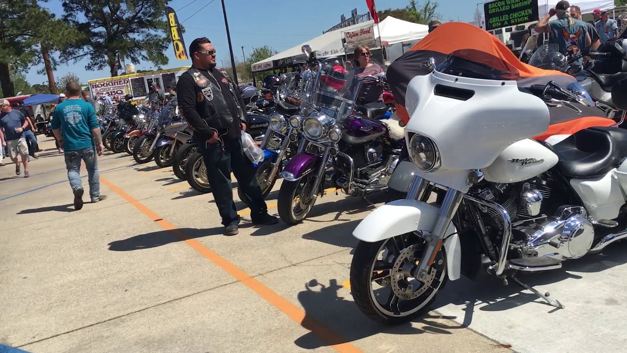 Harley Davidson party 🎉 camera iphone 8 plus apk