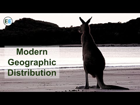 Evidence for evolution: modern geographic distribution of species
