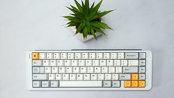 White Space65 + Holy Pandas (lubed Tribosys 3204) | Typing Sounds ASMR