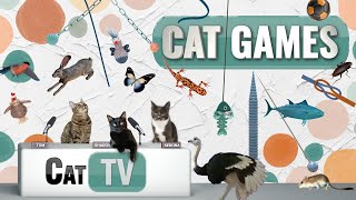 CAT Games | Ultimate Cat TV Compilation Vol 29 | 2 HOURS