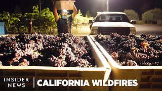 Vineyard Workers Race Overnight To Save Grapes From Approaching Fires | California Wildfires