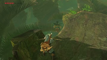 [DAY 284] of finding one korok seed everyday until Botw2 comes out