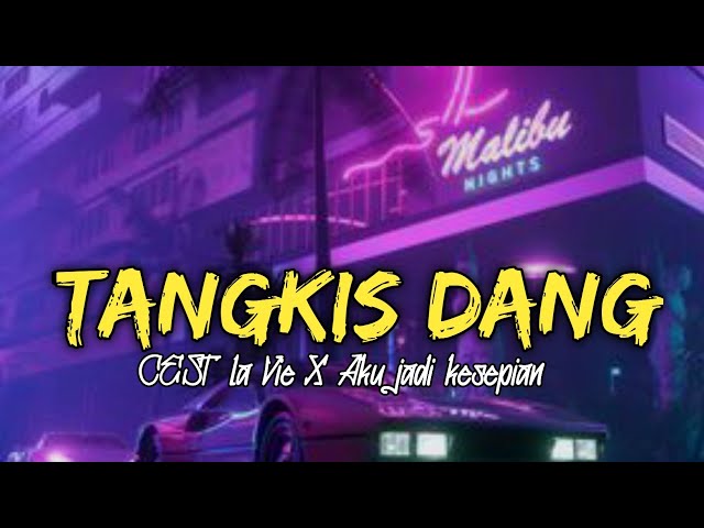 DJ TANGKIS DANG X CE'ST LA VIE X AKU JADI KESEPIAN ( BY DJ SOPAN ) class=